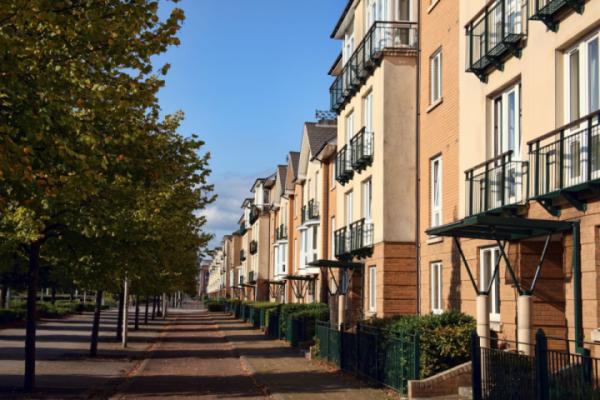 The UK Housing Market Ends 2024 on a High Note